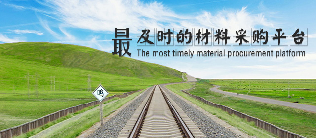 高效透明的项目服务